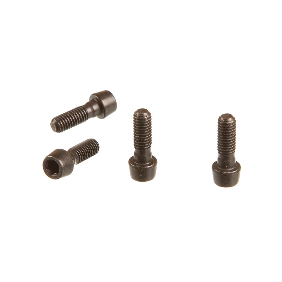 SRAM Faceplate Bolt Kit for SL Sprint, 11.6518.003.000