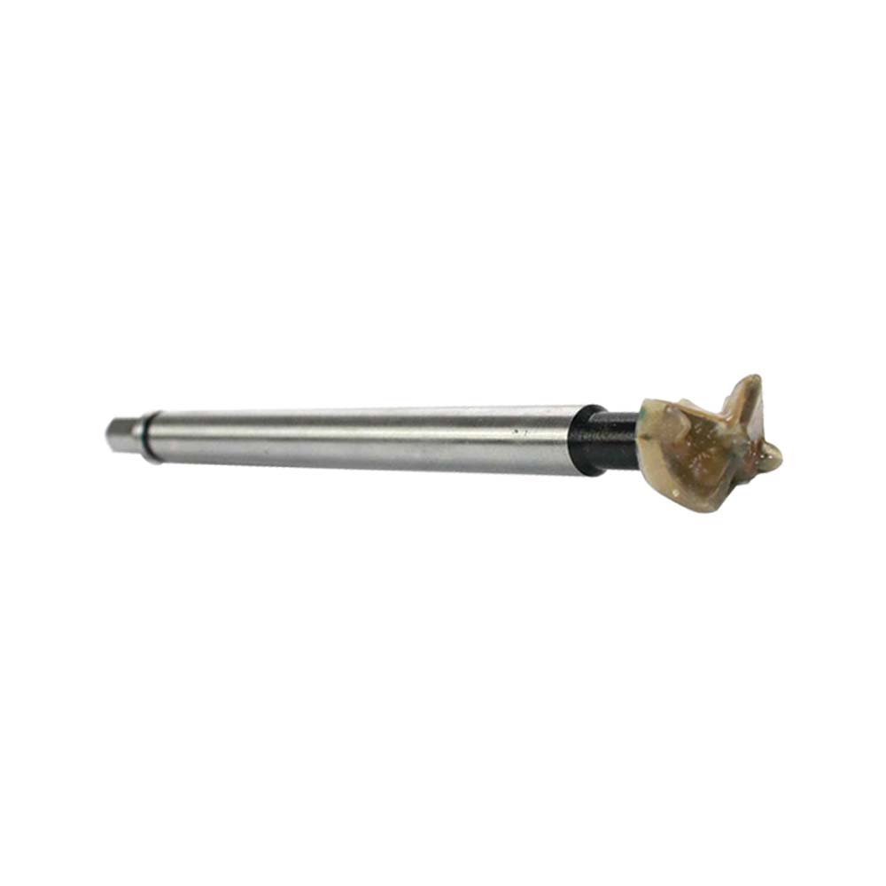 1 Inch Carbide Tipped Spur Bit – 1/2 Inch Shank with 3/8 Inch Hex End (Replaces Templaco MS-401-6C)