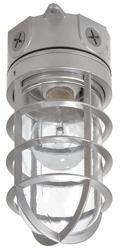 100-watt Incandescent Floodlight With Protective Bulb Guard