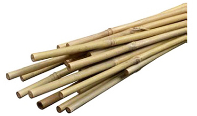 Bamboo Plant Stakes, 3-ft., 12-pk.