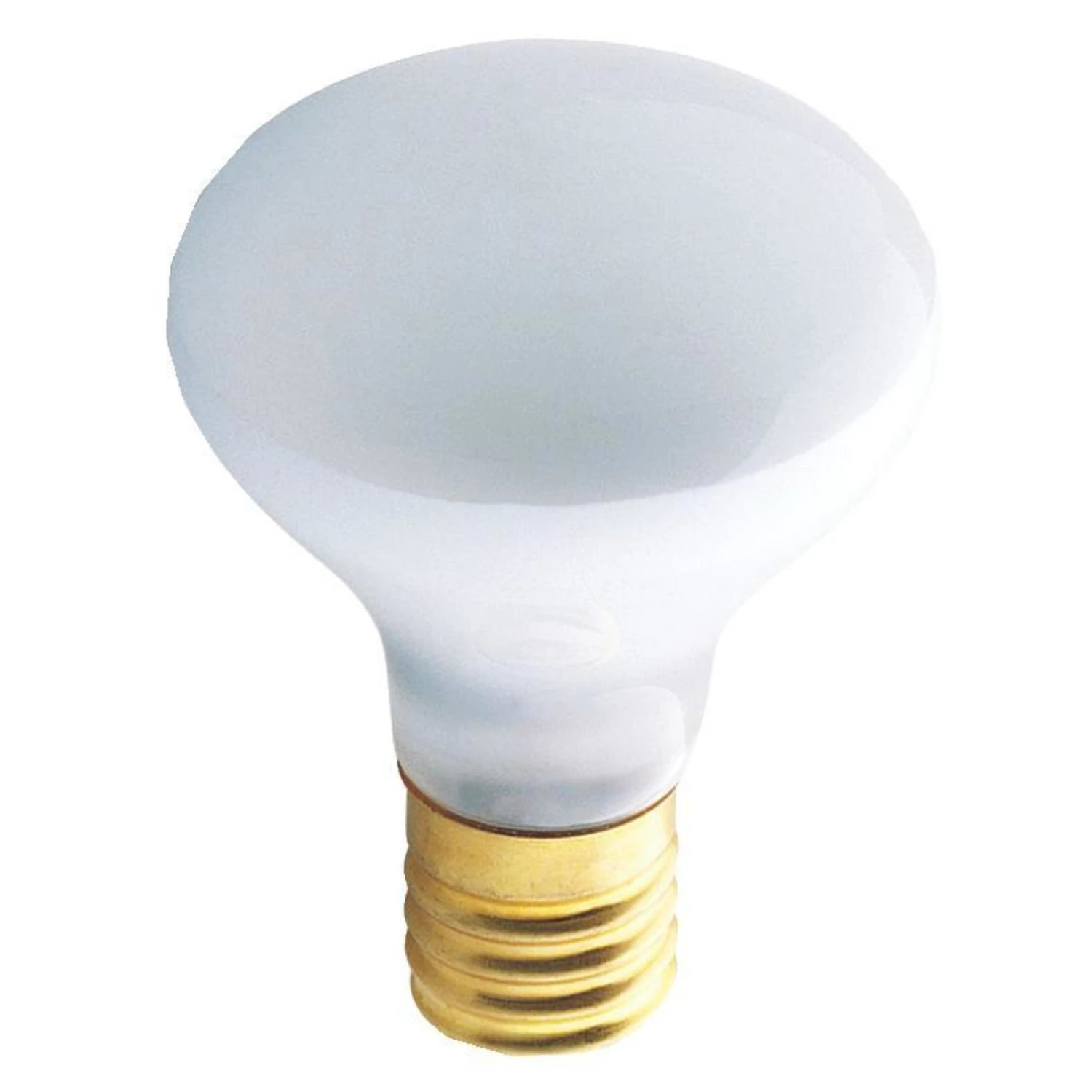 Flood Light Bulb, Intermediate Base, 25-watts